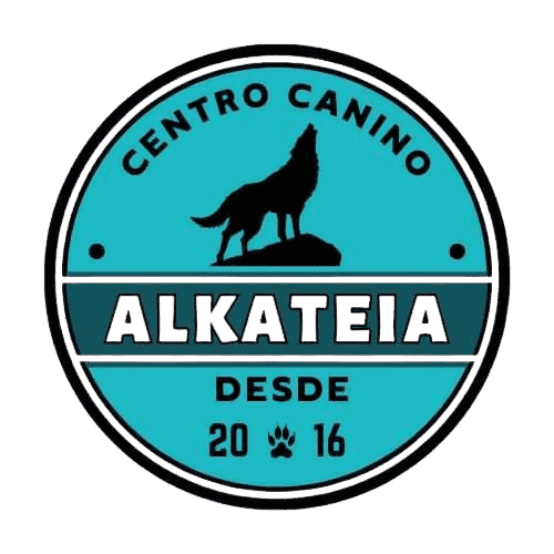link-logo4